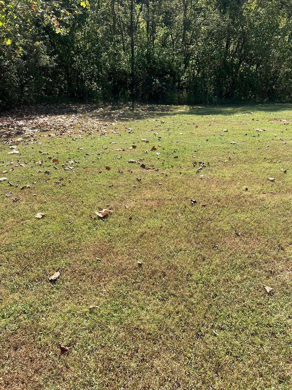 3.27 Acres of Residential Land for Sale in Mosheim, Tennessee