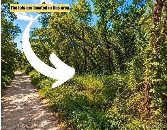 0.35 Acres of Residential Land for Sale in New Port Richey, Florida