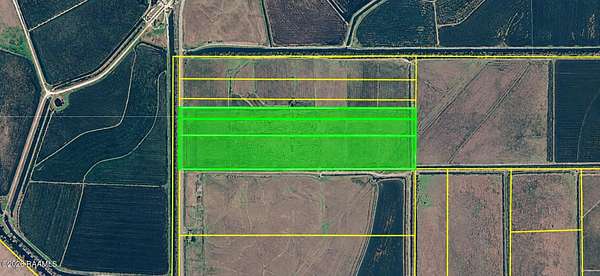 41.3 Acres of Land for Sale in Abbeville, Louisiana
