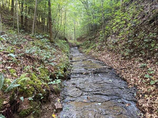 187 Acres of Recreational & Residential Land for Sale in Vancleve, Kentucky
