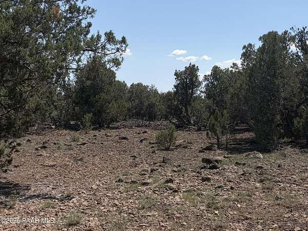 10 Acres of Recreational & Residential Land for Sale in Williams, Arizona