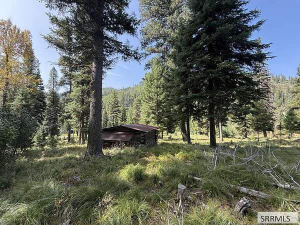 3.4 Acres of Residential Land for Sale in Gibbonsville, Idaho