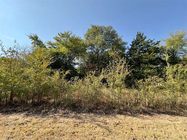 1 Acre of Residential Land for Sale in Sulphur Springs, Texas