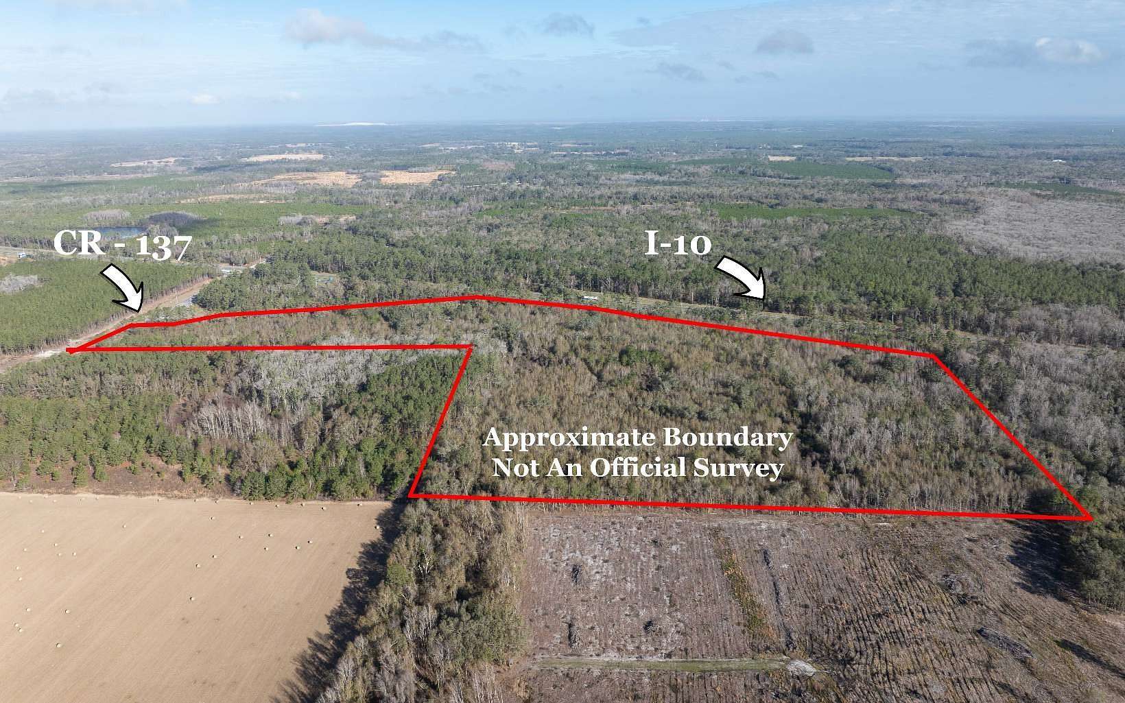 47.2 Acres of Commercial Land for Sale in Wellborn, Florida