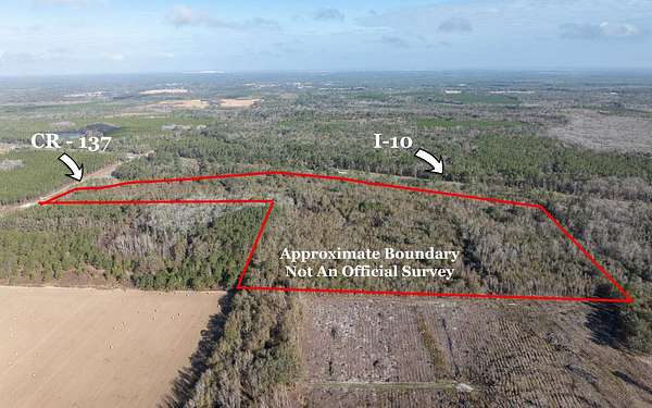47.2 Acres of Commercial Land for Sale in Wellborn, Florida