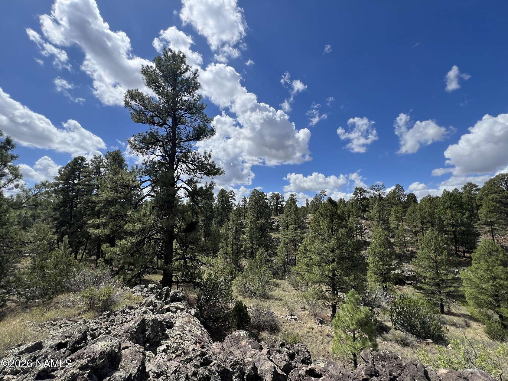 1.7 Acres of Land for Sale in Williams, Arizona