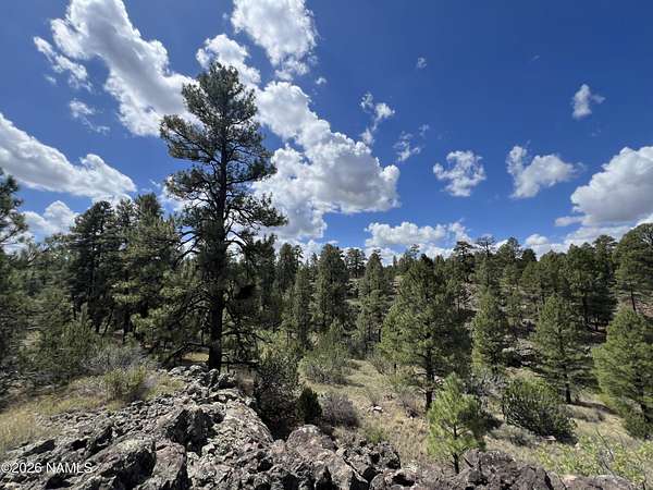 1.7 Acres of Land for Sale in Williams, Arizona