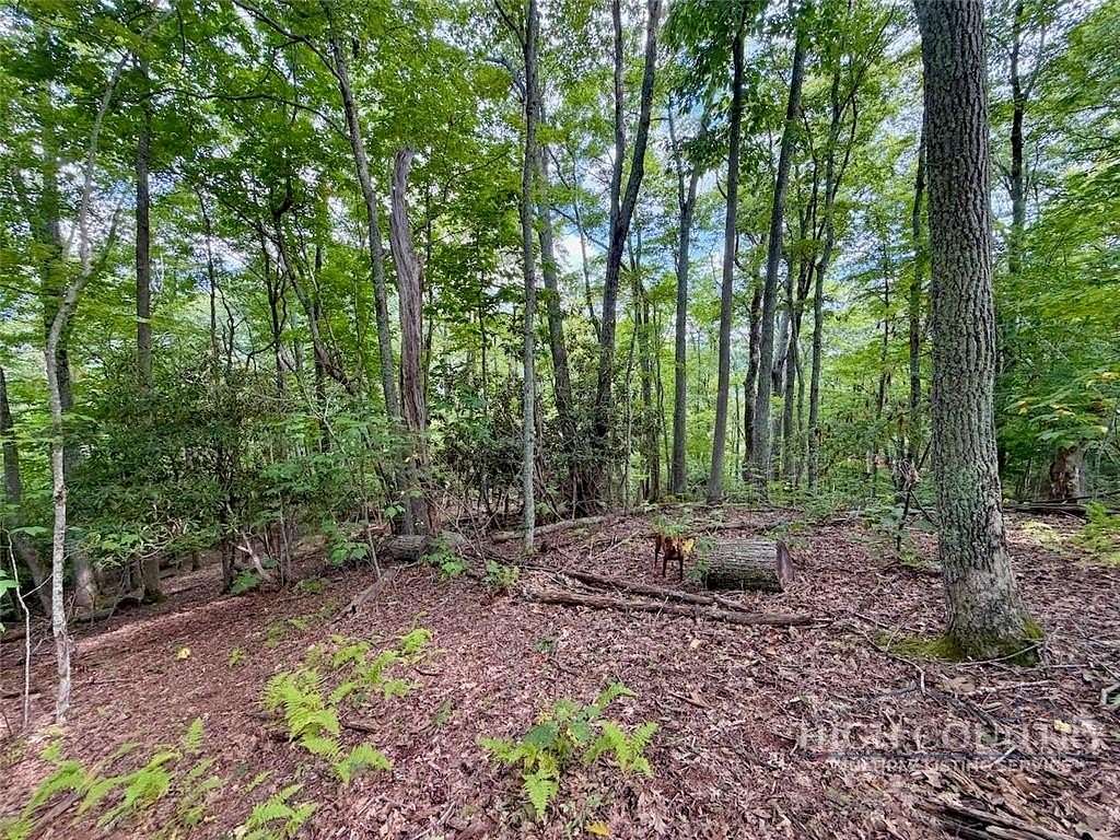 0.92 Acres of Residential Land for Sale in Banner Elk, North Carolina