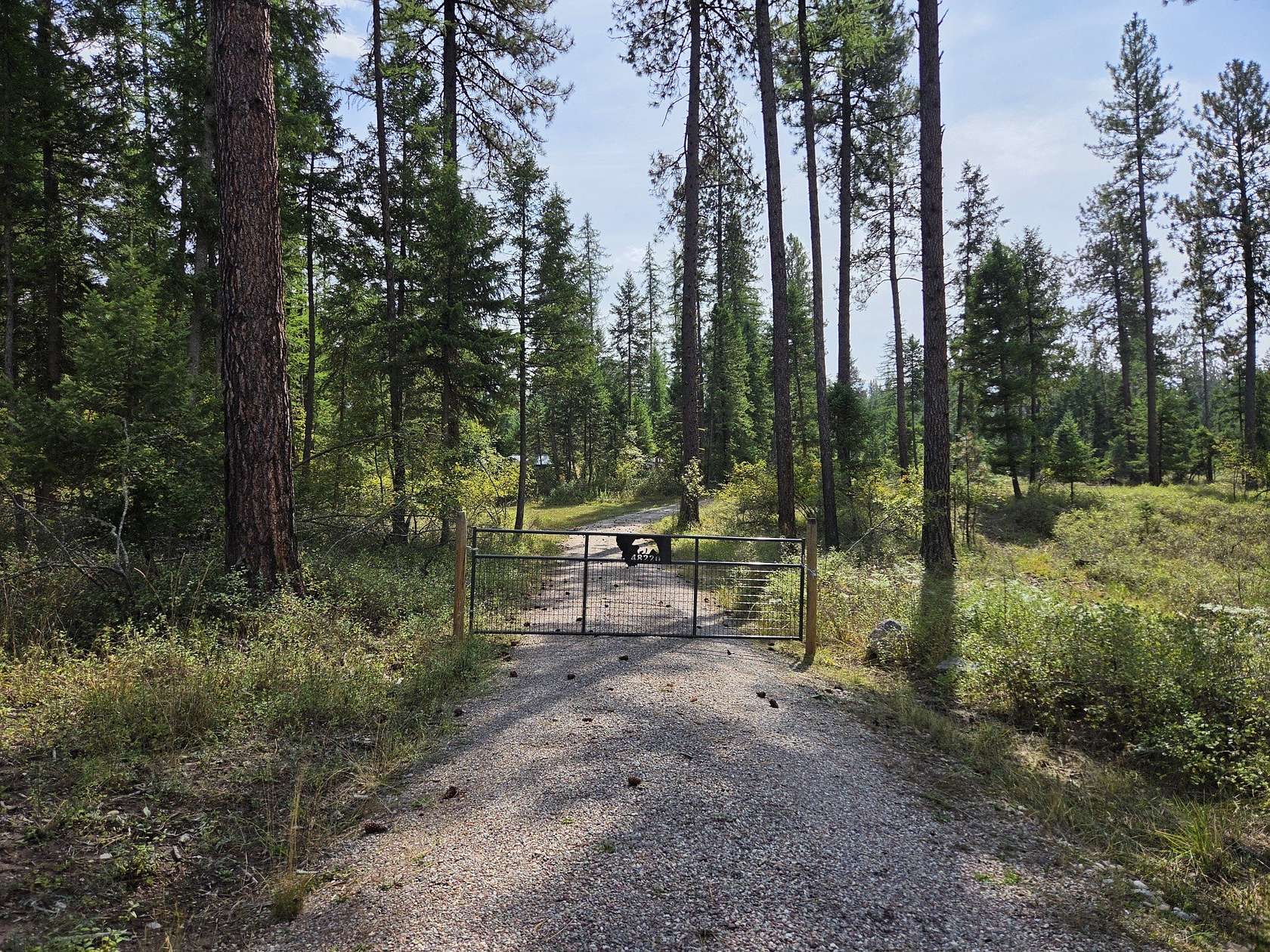 20 Acres of Recreational Land for Sale in Ronan, Montana