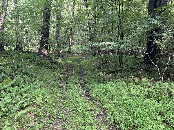 1.3 Acres of Land for Sale in Leeper, Pennsylvania