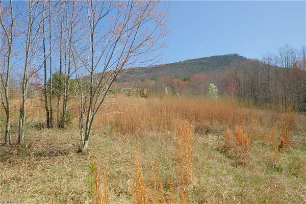 13.3 Acres of Land for Sale in Pinnacle, North Carolina