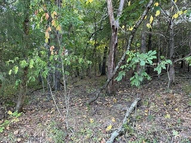 0.26 Acres of Residential Land for Sale in Hillsboro, Missouri