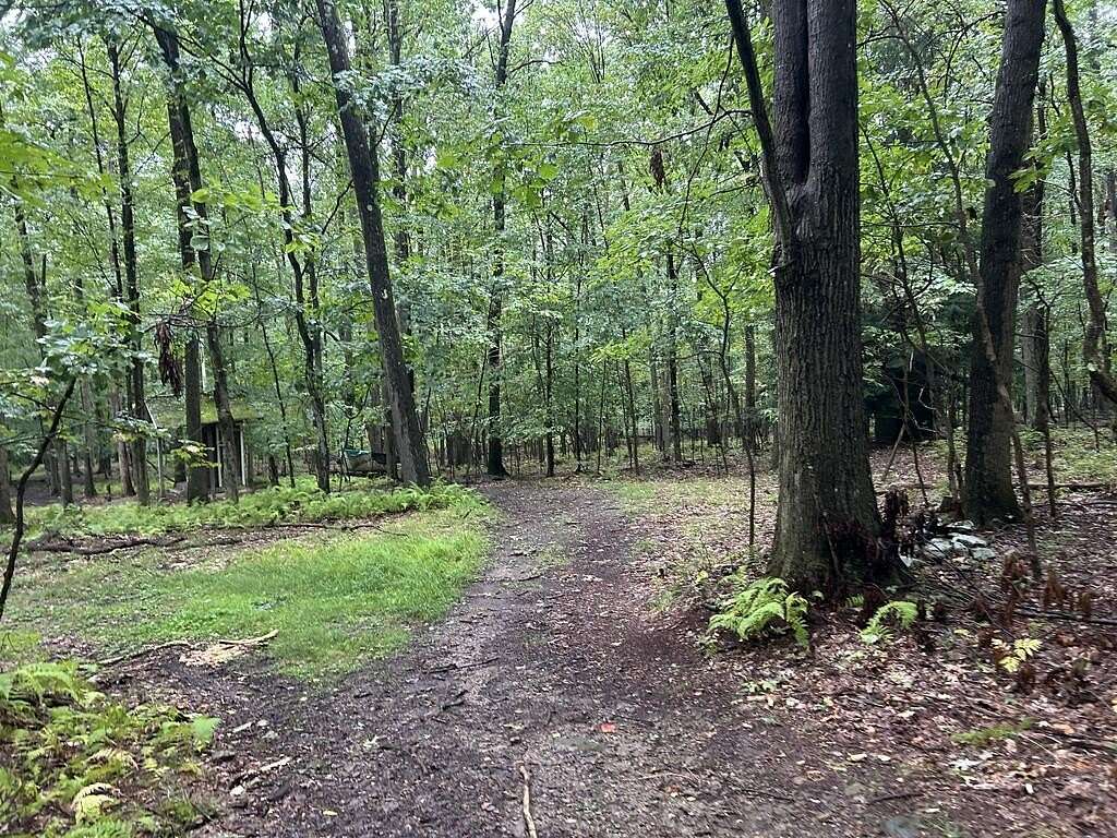 0.34 Acres of Land for Sale in Tionesta, Pennsylvania