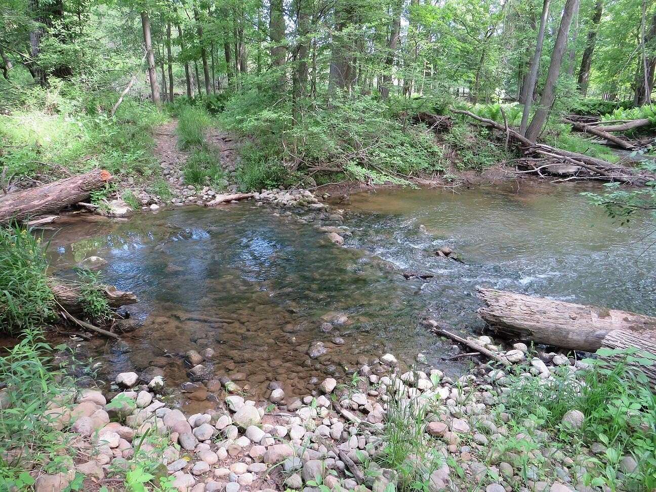 78.3 Acres of Land for Sale in Owendale, Michigan