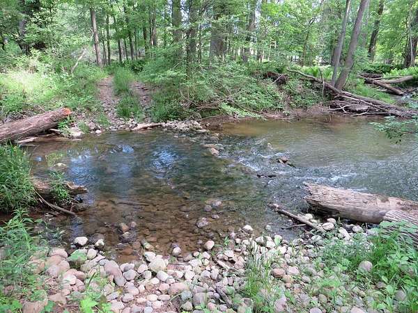 78.3 Acres of Land for Sale in Owendale, Michigan