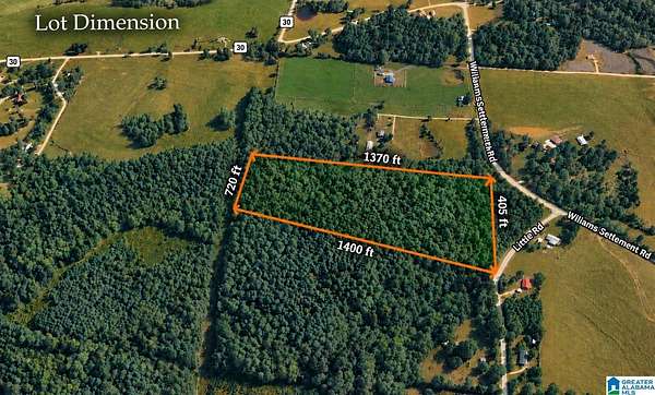 20 Acres of Land for Sale in Blountsville, Alabama