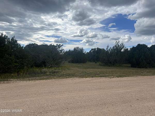 10 Acres of Residential Land for Sale in Vernon, Arizona