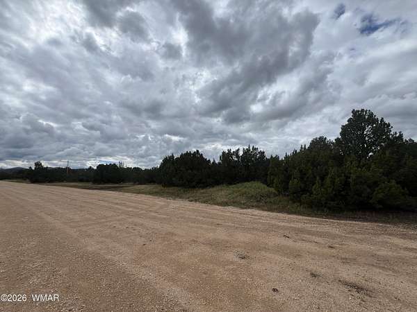 10 Acres of Residential Land for Sale in Vernon, Arizona