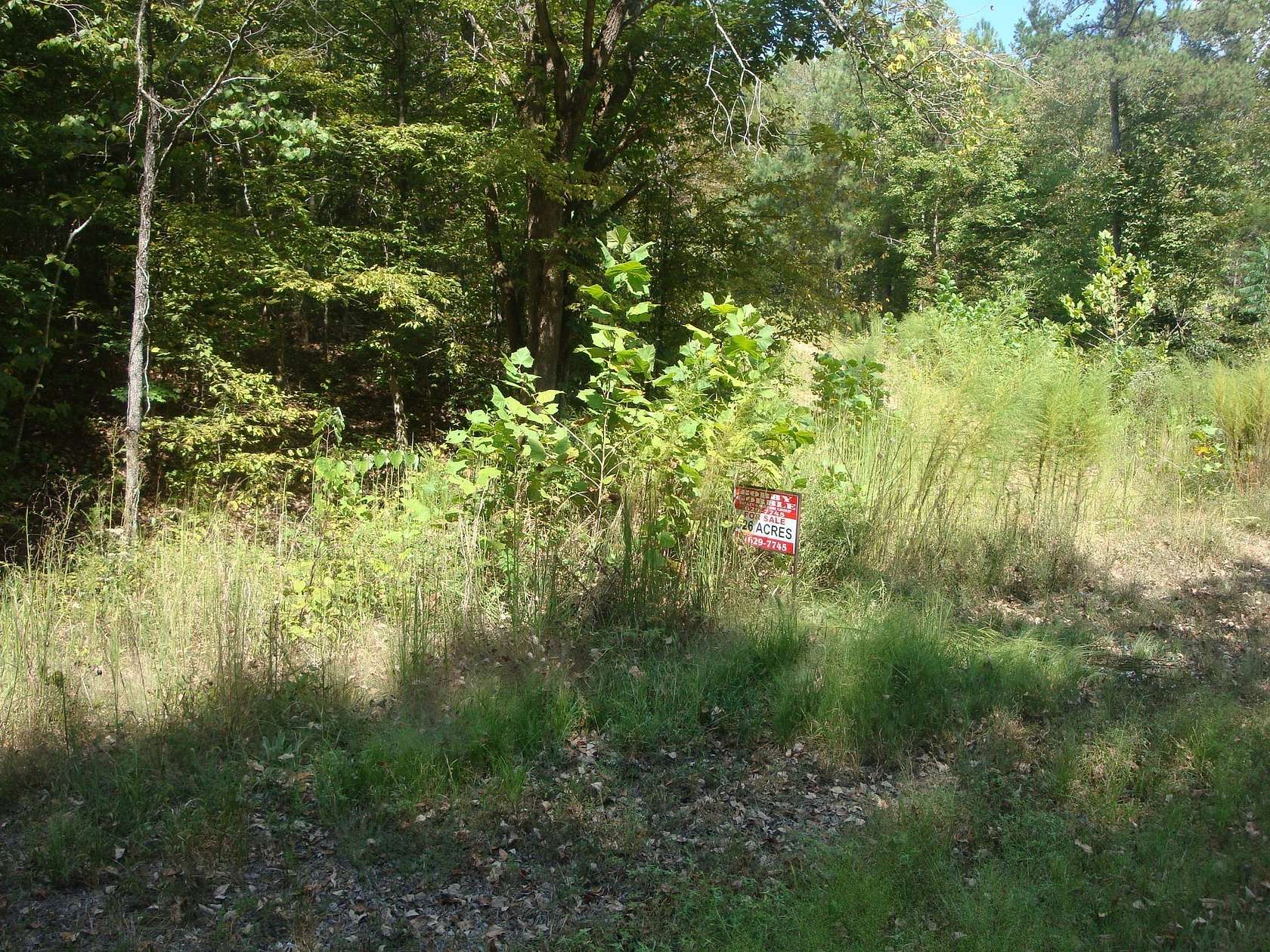 326 Acres of Land for Sale in Hohenwald, Tennessee