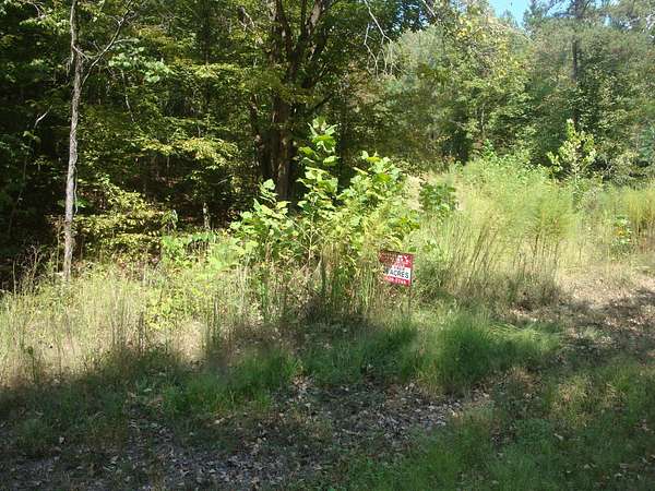 326 Acres of Land for Sale in Hohenwald, Tennessee