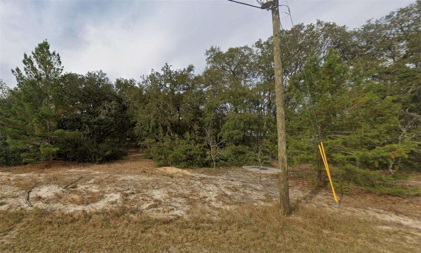 0.24 Acres of Residential Land for Sale in Ocklawaha, Florida