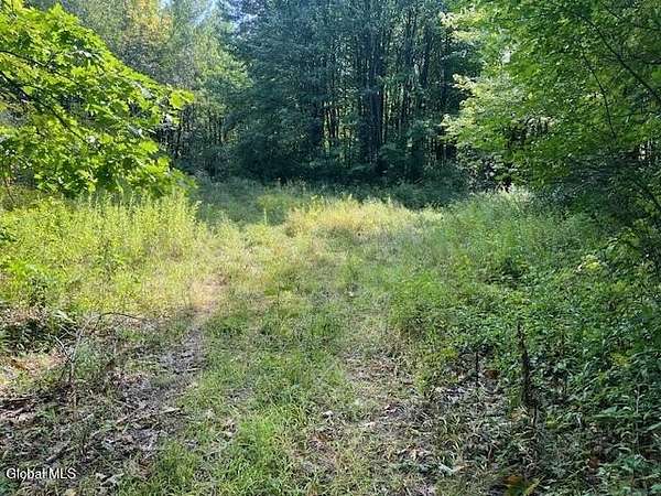 5 Acres of Residential Land for Sale in Fultonville, New York