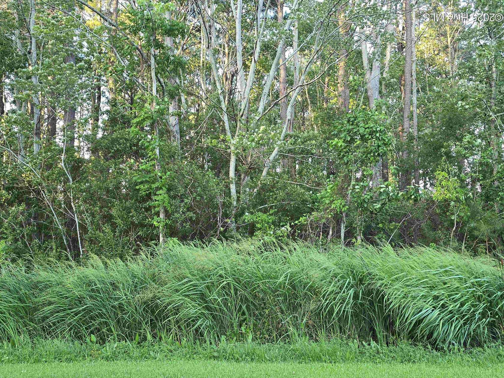 0.29 Acres of Residential Land for Sale in Elizabeth City, North Carolina