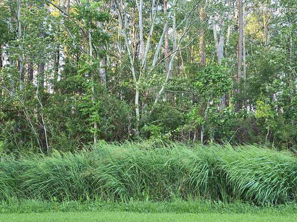 0.29 Acres of Residential Land for Sale in Elizabeth City, North Carolina