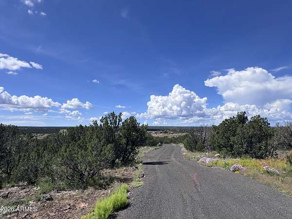 79.5 Acres of Recreational & Residential Land for Sale in Show Low, Arizona