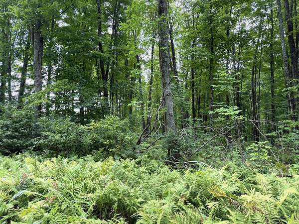 39.1 Acres of Recreational & Residential Land for Sale in Goodman, Wisconsin