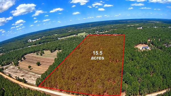 15.5 Acres of Land for Sale in Monetta, South Carolina