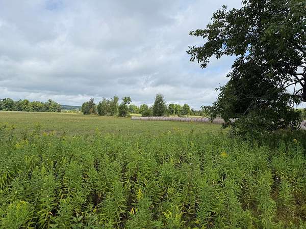 38.6 Acres of Land for Sale in Goodman, Wisconsin