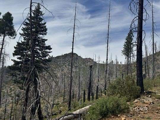 244 Acres of Recreational & Residential Land for Sale in Trinity Center, California