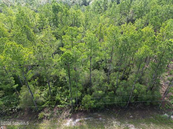 2.16 Acres of Residential Land for Sale in Hortense, Georgia