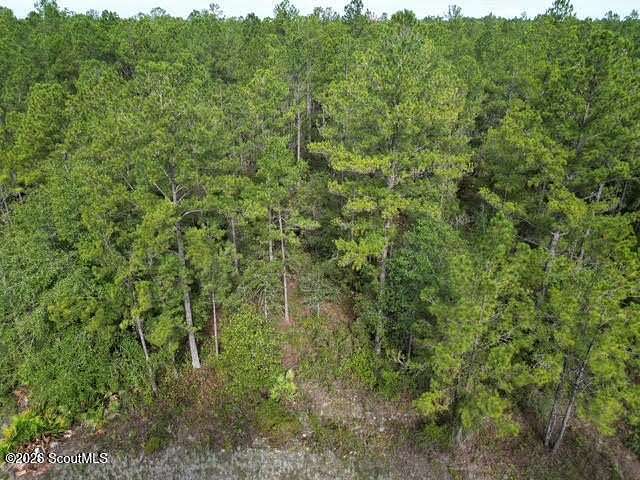 1 Acre of Residential Land for Sale in Hortense, Georgia
