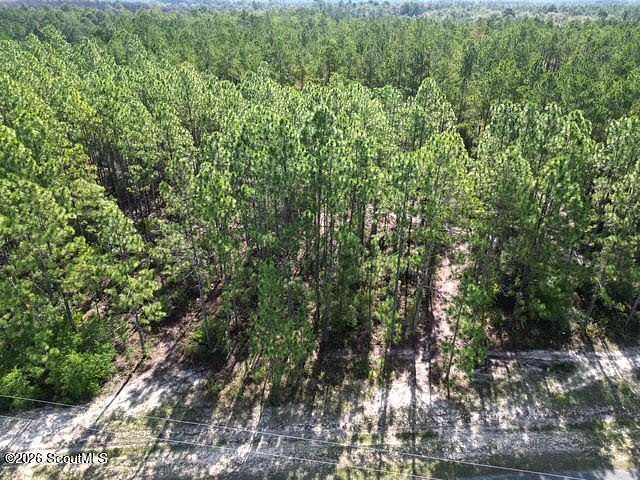 1 Acre of Residential Land for Sale in Hortense, Georgia