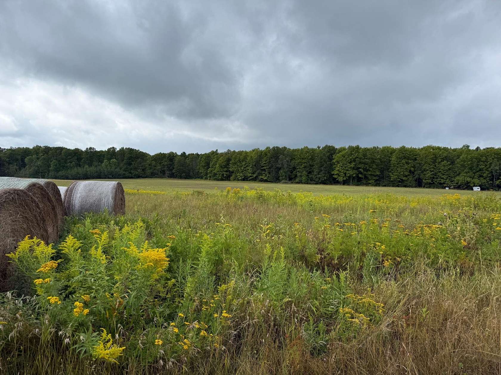 27.4 Acres of Land with Home for Sale in Goodman, Wisconsin