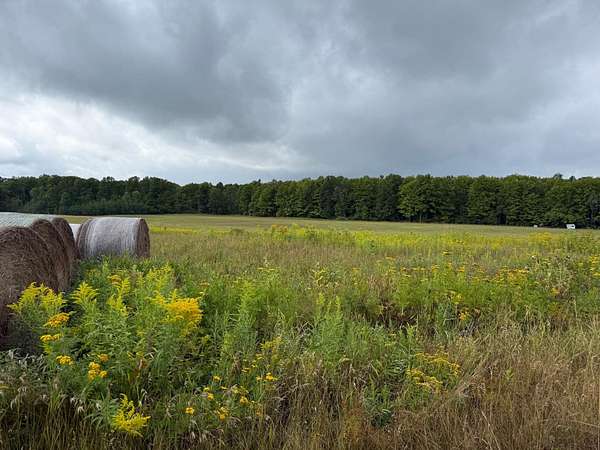 27.4 Acres of Land with Home for Sale in Goodman, Wisconsin