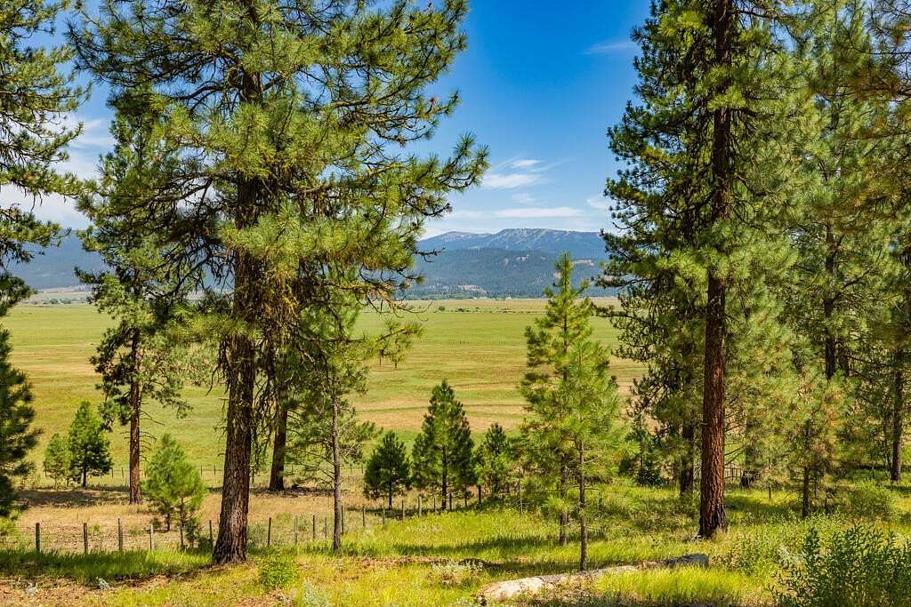 5 Acres of Residential Land for Sale in New Meadows, Idaho