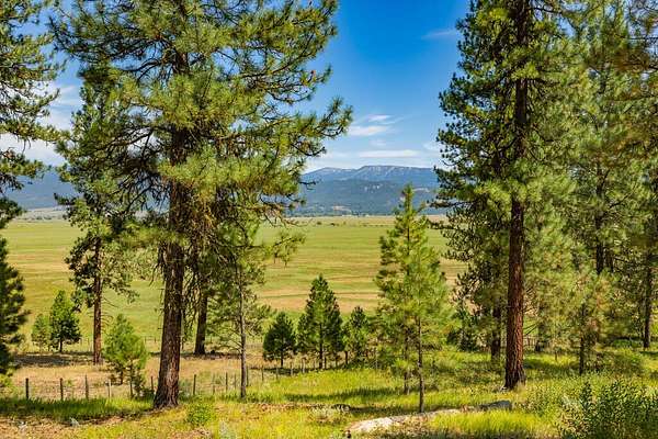 5 Acres of Residential Land for Sale in New Meadows, Idaho