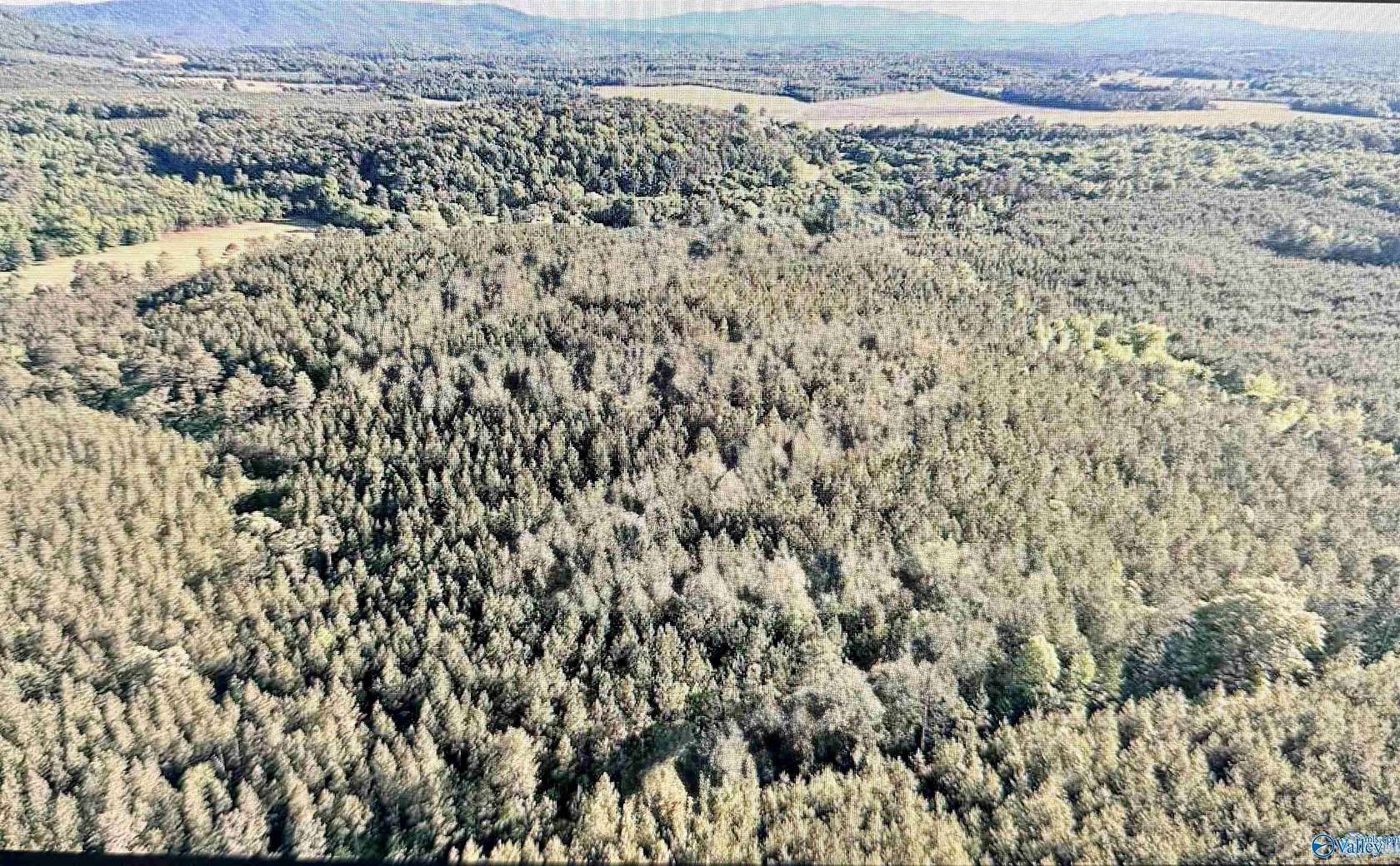 19.5 Acres of Land for Sale in Piedmont, Alabama