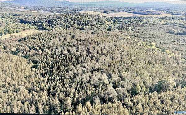 19.5 Acres of Land for Sale in Piedmont, Alabama