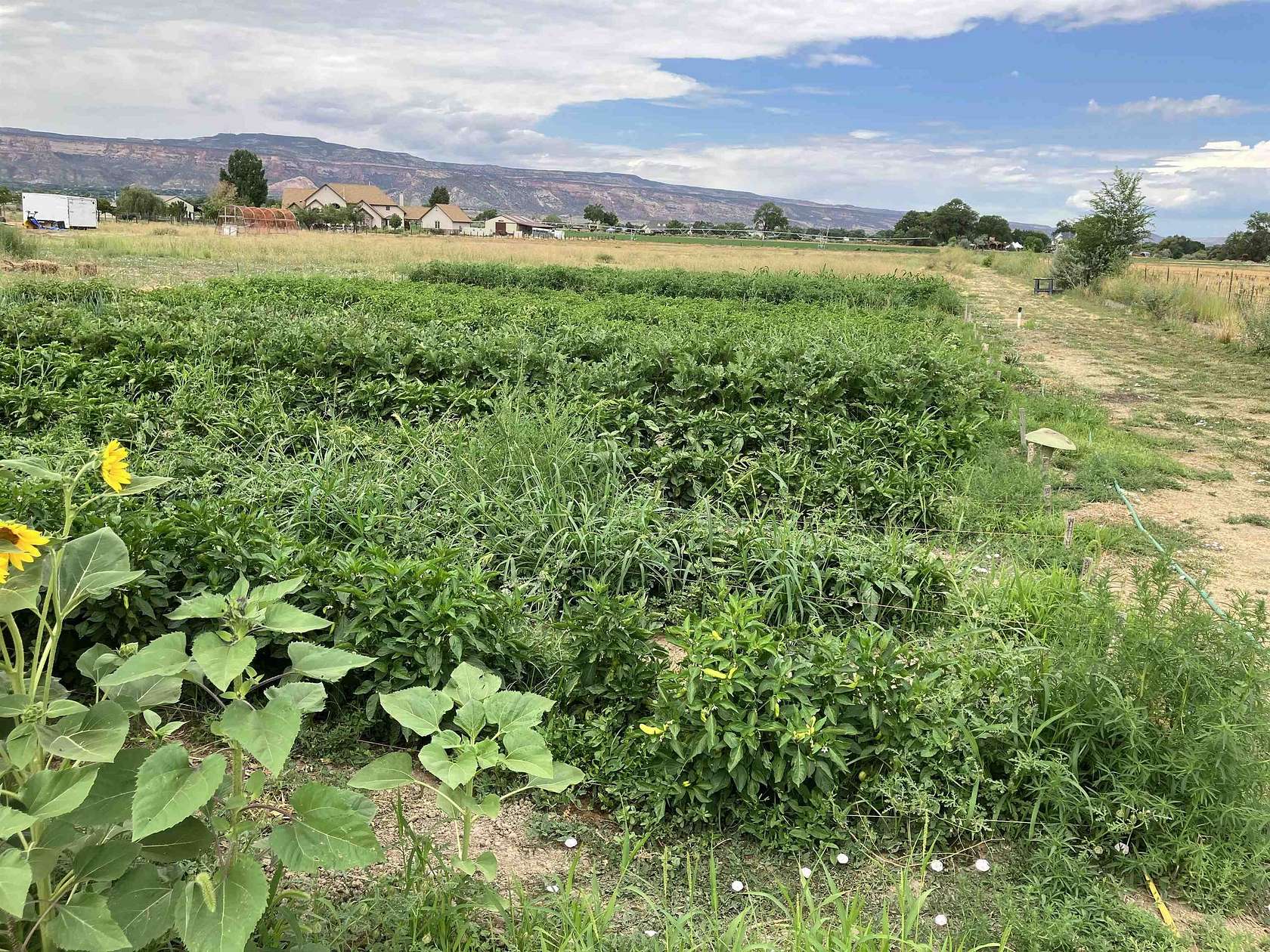9.2 Acres of Residential Land for Sale in Grand Junction, Colorado