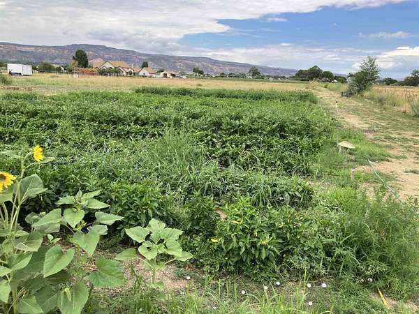 9.2 Acres of Residential Land for Sale in Grand Junction, Colorado