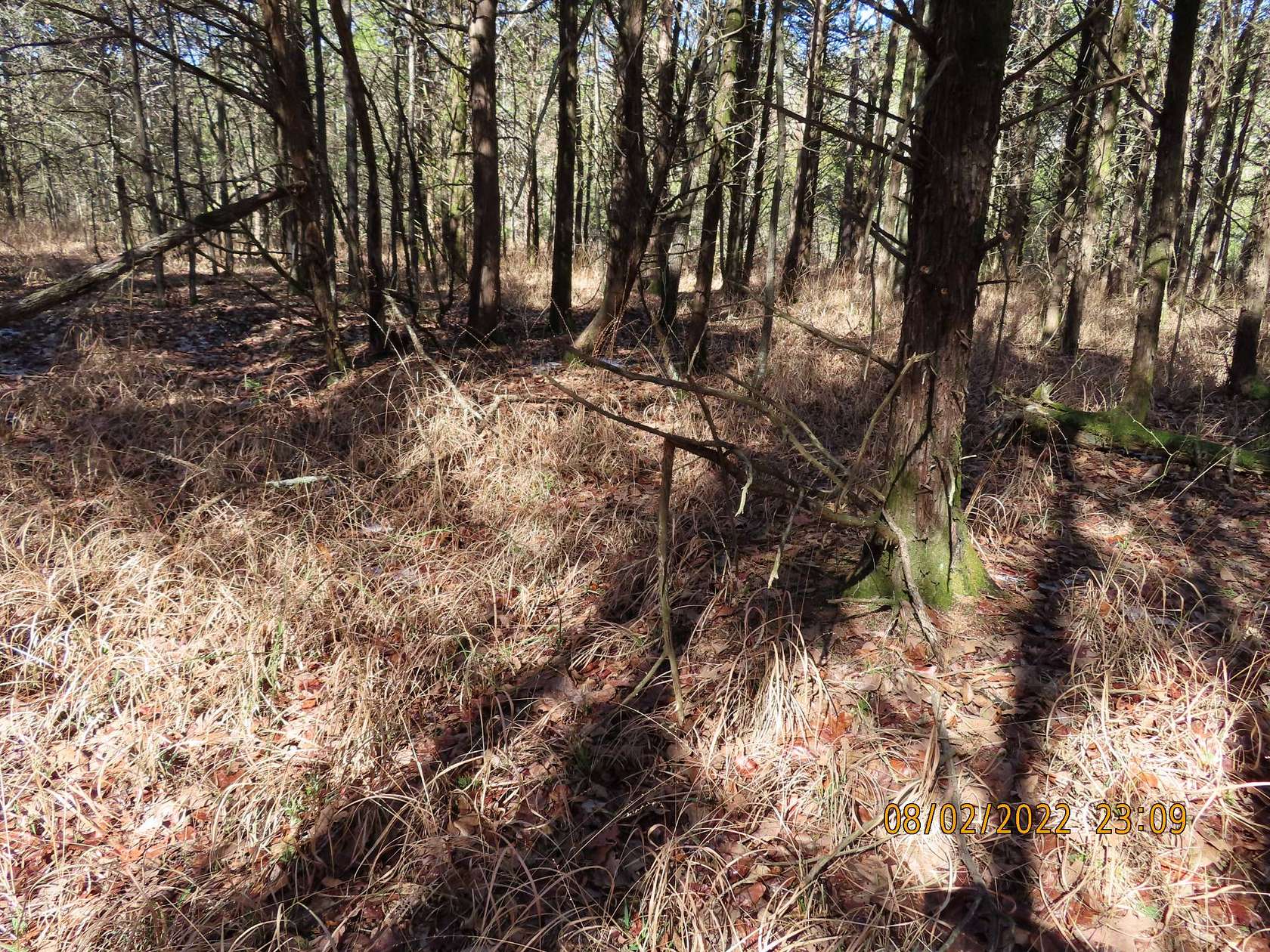 5 Acres of Land for Sale in Wister, Oklahoma