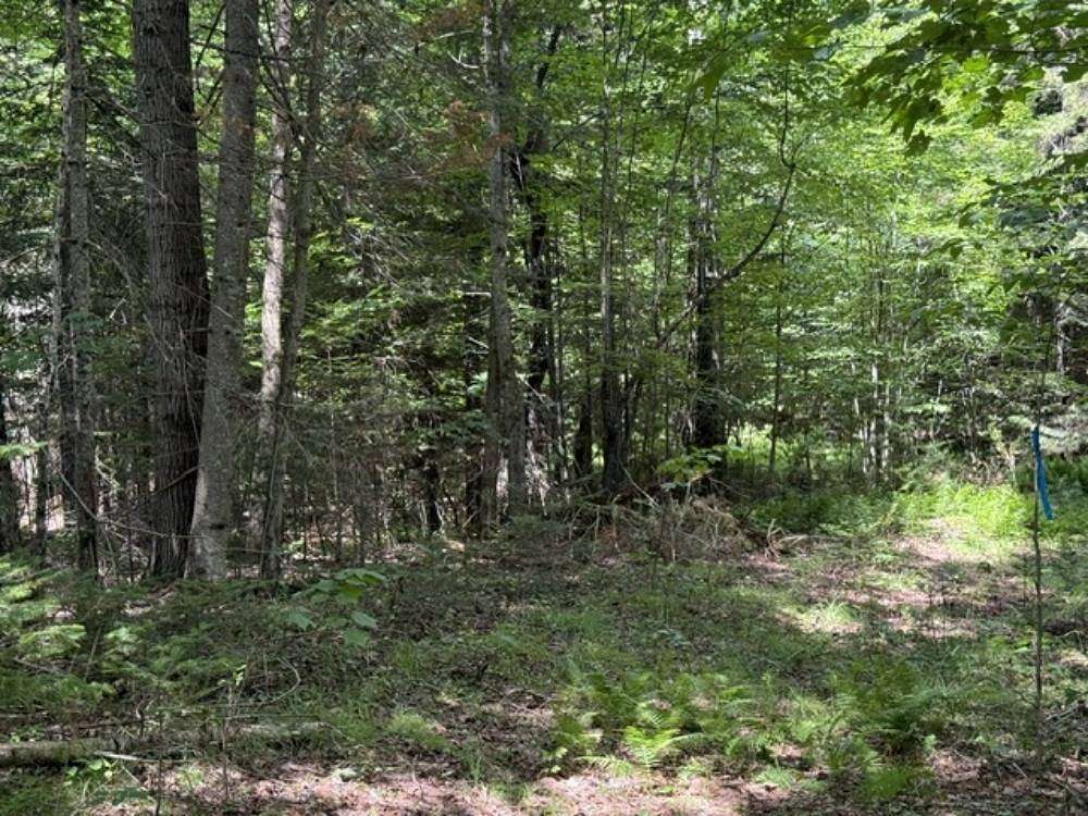 12.2 Acres of Recreational & Residential Land for Sale in Duane Center, New York