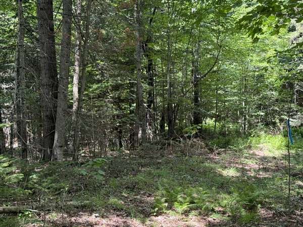 12.2 Acres of Recreational & Residential Land for Sale in Duane Center, New York
