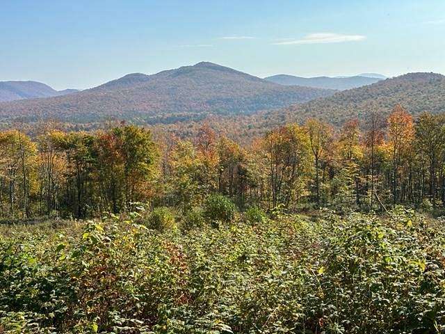 80.5 Acres of Recreational Land for Sale in Duane Center, New York