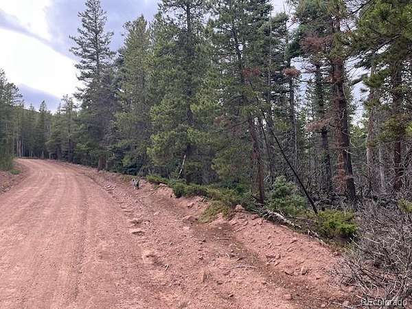 1.43 Acres of Residential Land for Sale in Fort Garland, Colorado