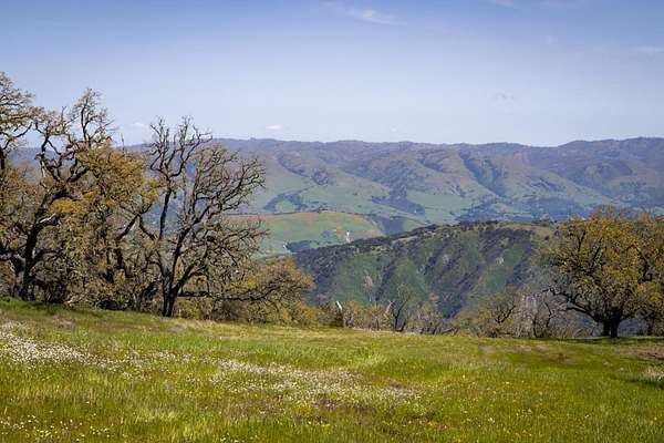 39.6 Acres of Agricultural & Residential Land for Sale in Carmel-by-the-Sea, California